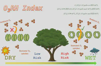 A humidity-based exposure index representing ozone damage effects on vegetation